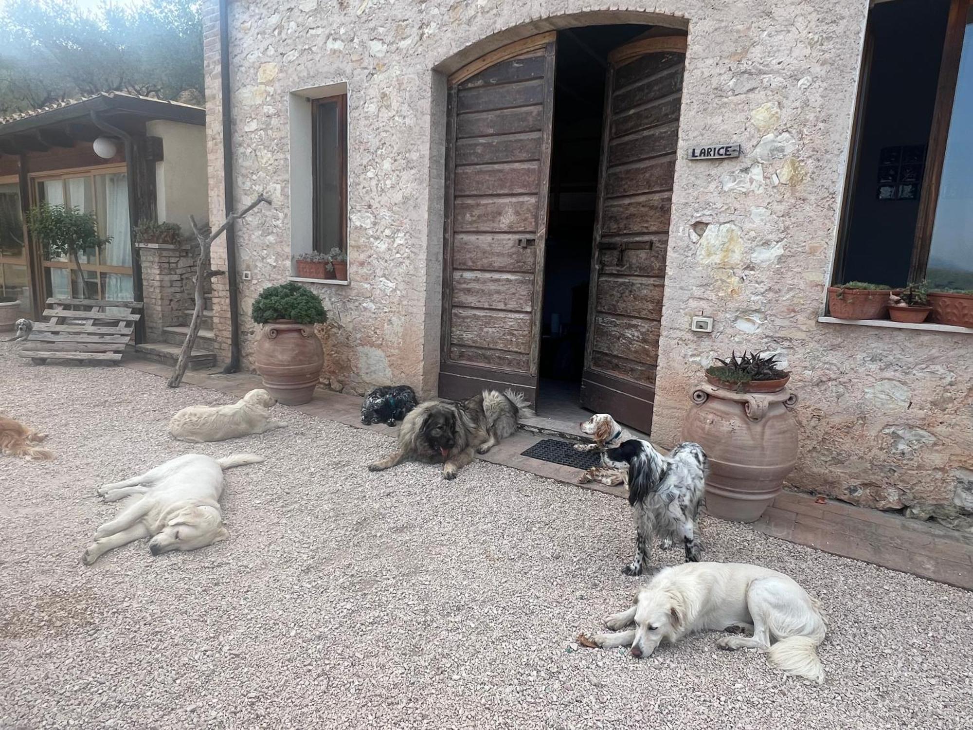 Setterhouseagrihotel Trevi Luaran gambar