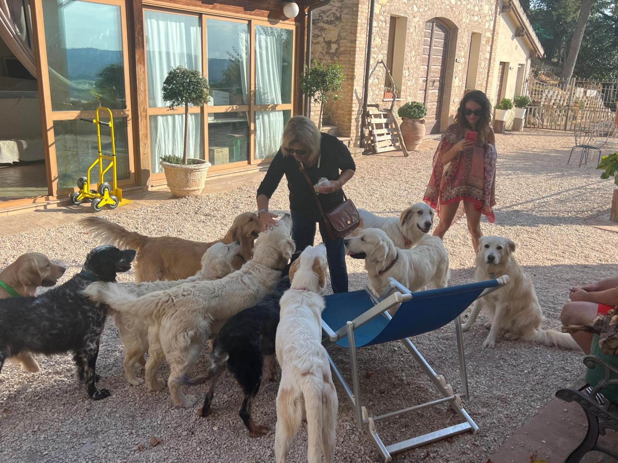 Setterhouseagrihotel Trevi Luaran gambar