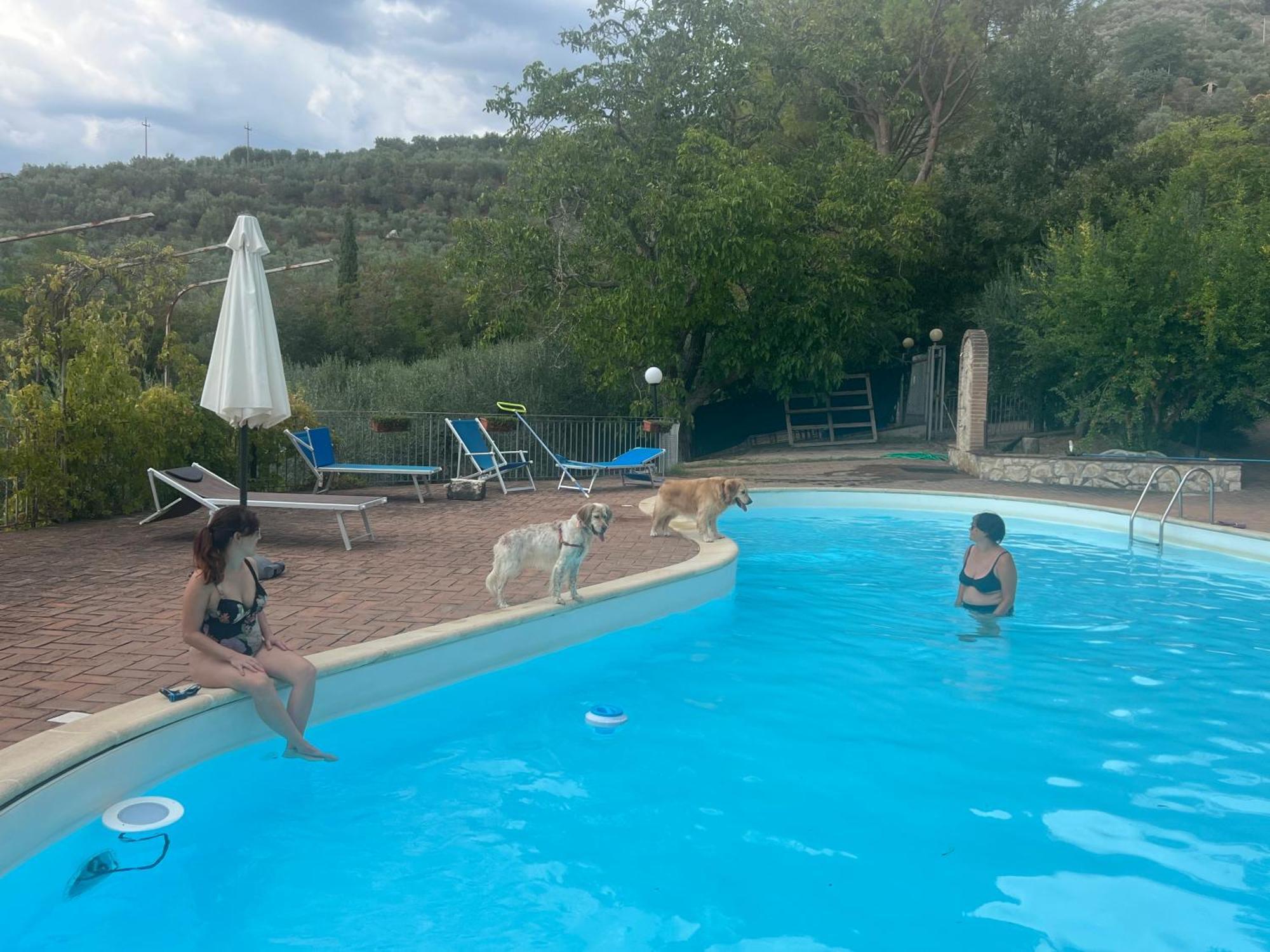 Setterhouseagrihotel Trevi Luaran gambar